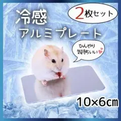 ハムスター 冷感アルミプレート 2枚セット 夏用 クールマット ひんやり 冷却のサムネイル