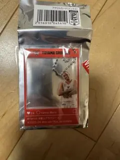 富山グラウジーズ　アクリルカード（インスタ）