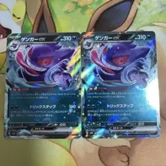 ゲンガーex rr 2枚セット　047/071 むしばむのろい