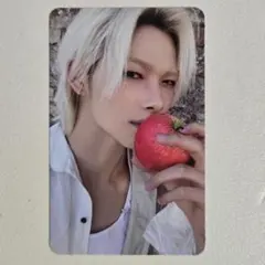 THE SIN:VANISH トレカ ニキ