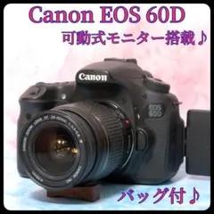Canon EOS 6D☆50mm単焦点☆一眼レフカメラ☆美しいボケと描写力