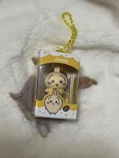 ちいかわ チョコボックス うさぎ