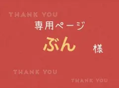 ぶん様専用ページです。