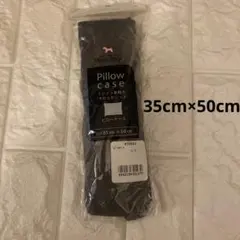 Item thumbnail for item 468df97b-191c-4c9f-9101-b375a7120dfb