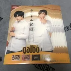 ガルボ クリアファイル SexyZone