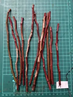 CANDY様 リクエスト 5点 まとめ商品