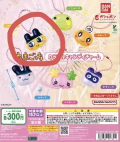 たまごっち カラフルキャンディチャーム　まめっち