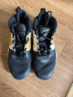 Nike バスケットボールシューズ AQ4224-004 6.5Y