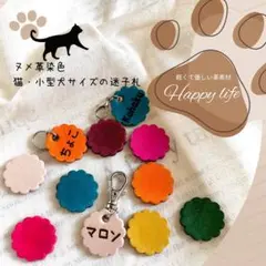 Item thumbnail for item 25eeb2a0-93b0-4564-9612-1837aa2144e3