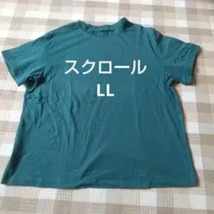 Item thumbnail for item a45560a2-2ea0-420f-bc1e-546083bc2f52