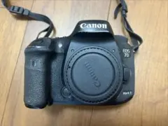 Canon EOS 5D Mark Ⅲ 一眼レフ ショット数41047 - メルカリ