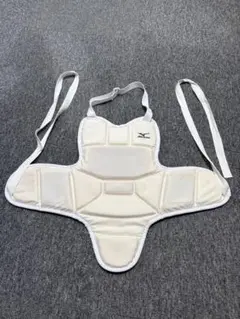 Item thumbnail for item d0f2eb24-ddb1-4896-b152-cef82580de5f