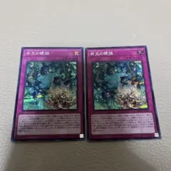 遊戯王 命王の螺旋 ドミナススパイラル プリシク - メルカリ