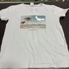 シナモロール Tシャツ 半袖 ライトグリーン