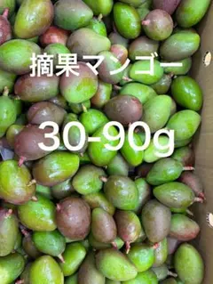 宮崎県産　摘花　マンゴー　グリーン 7.5キロ 宮崎県産摘花 グリーン マンゴー 5.7キロ - メルカリ