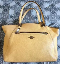 Item thumbnail for item cfb11ff8-fc41-488d-9f12-e7d2d142b1a8