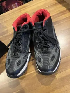 NIKE AIR JORDAN 11 RETRO LOW