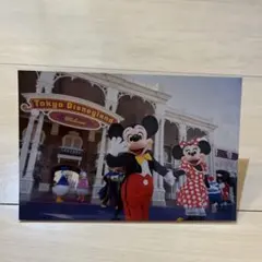 東京ディズニーリゾート ポストカード ミッキー ミニー