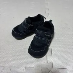 Item thumbnail for item c6255e3f-3ca5-4214-bb5a-506d5eefdd4a