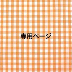 MSNshop♪専用ページ(Lapisカード2種 デフォ1枚等身1枚)