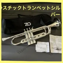 Item thumbnail for item 99d3ca73-3ca7-49b8-8ff5-9a26c423aa07