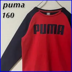 【良品】 PUMA プーマ ビッグロゴ スウェット キッズ 160