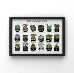 2026年最新】塊根植物 ポスターの人気アイテム - メルカリ