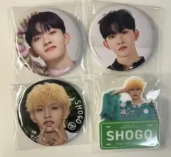 INI 田島将吾 缶バッジ ネームプレート RTP ファンコン