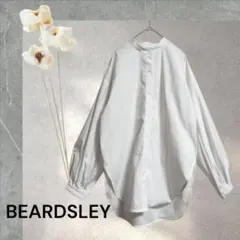 a2550　未使用　定価27500円　ブラウス　シャツ　ビアズリー　ノーカラー