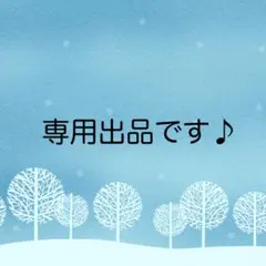 るいTMさん専用1128