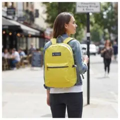 【新品】EVEREST エベレスト バックパック リュック レモン