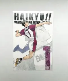 ハイキュー　ゲンガ×タイカン 特典ポストカード　牛島若利