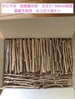 Item thumbnail for item 04ec0bb7-7702-4889-af1a-5a18366c272c