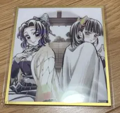 鬼滅の刃 WEBSHOPくじ アクリル色紙 胡蝶しのぶ 栗花落カナヲ