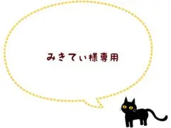 みきてぃ様 リクエスト 2点 まとめ商品