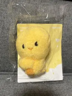 TAEMIN テミン ペンライト デコドール テマリ SHINee ぬいぐるみ