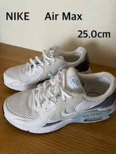 NIKE Air Max 25.0cm ホワイト/グレー/ブルー