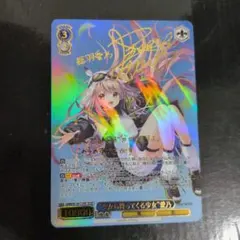 烈風零式・蒼天