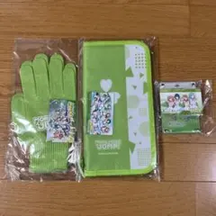 チュウニズム プロセカ オリジナル手袋＆Aimeカードセットニーゴ