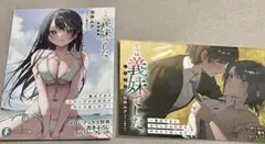 じつは義妹でした。～最近できた義理の弟の距離感がやたら近いわけ～特典SS 2まい