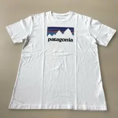 Patagonia パタゴニア Tシャツ M