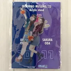 Item thumbnail for item 21b2168c-2ff8-4680-9b7a-c49cecea3137