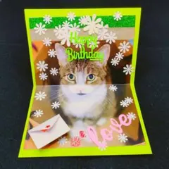 フォロワー様限定　世界に1つだけのバースデーハンドメイドメッセージカード　猫