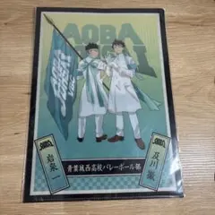 40セット ハイキュー 青葉城西 青城 クリア ファイル 40セット ハイキュー 青葉城西 青城 クリア ファイル