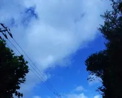 ぽてとグラタン様専用