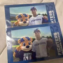 ファイターズ カビー チェキ風ステッカー 柴田獅王×2