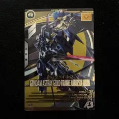 感情を無くしたヌマクロー様 リクエスト 2点 まとめ商品