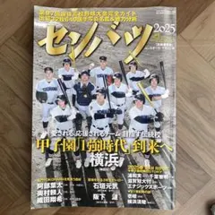 Item thumbnail for item 4f4e0cce-3eb9-4f83-84a8-3a920ed83730