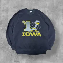 90s USA製 JERZEES カレッジスウェット ホークス L ブラック　黒