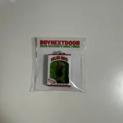 BOYNEXTDOOR MINIATURE KEYRING TAESAN
